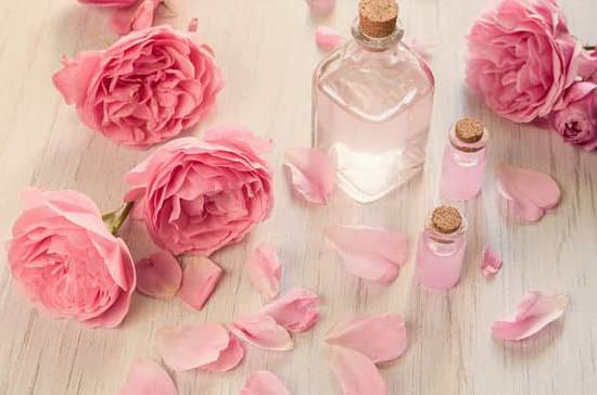 Aromatherapy Learn 1 Explore Aromatherapy Learn: Beginner's Guide to Essential Oils