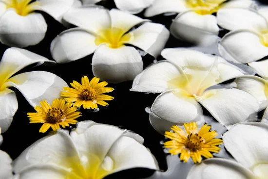 Car Aromatherapy Essential Oils Diffuser Air Freshener 3 Car aromatherapy essential oils diffuser: elevate your driving experience with the perfect air freshener