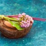 AROMIS Wood and Glass Aromatherapy Diffuser - Orbis Lux Merus: Home Wellness essential