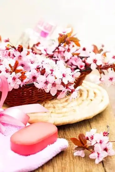 Aromatherapy for Headaches: Natural Essential Oils to Relieve Pain and Tension