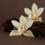 Invigorate your senses with AROMATHERAPY FRESH CARE products for a rejuvenating and aromatic experience