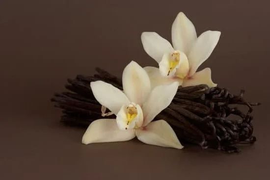 Can Aromatherapy Oils Be Ingested 9 Can Aromatherapy Oils Be Ingested: A Guide for Safe Consumption