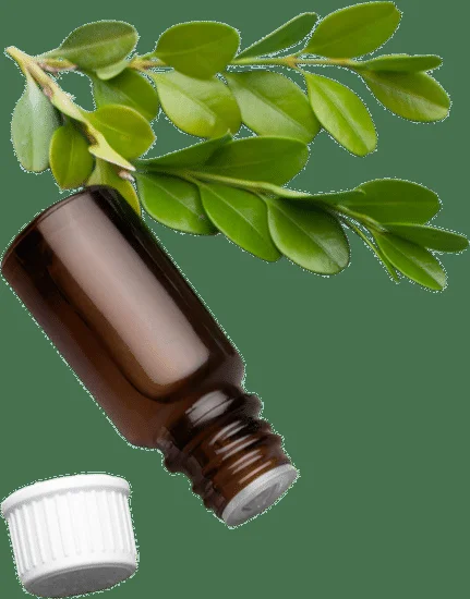 How to make a soothing aromatherapy balm for relaxation and stress relief