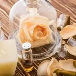 An Invigorating DIY Experience