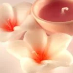 Discover the Power of Essential Oils for Overall Well-being