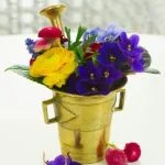 Aromatherapy benefits cancer patients by promoting relaxation and well-being