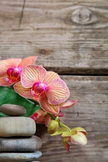 Step-by-step guide on how to make homemade aromatherapy soap with natural ingredients