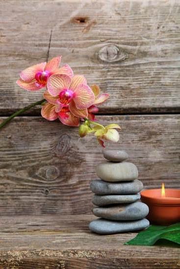 How to Use a Aromatherapy Diffuser 5 Step-by-step guide on how to use a Aromatherapy Diffuser for relaxation and stress relief