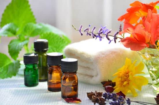 Step-by-step guide on how to make aromatherapy toys for dogs using organic materials