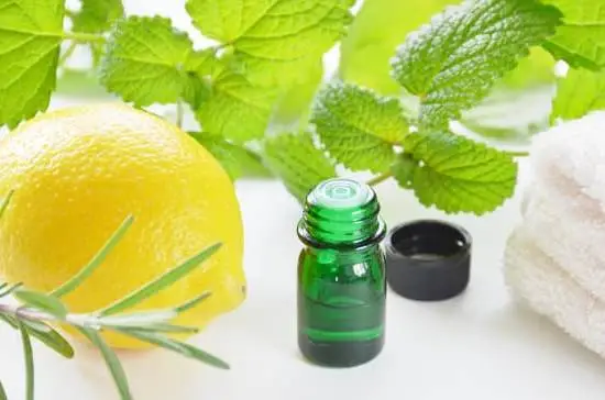 A Guide to Essential Oil Diffusion