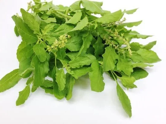 How to run an aromatherapy business effectively and efficiently