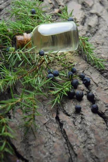 How Much Does an Aromatherapy Degree Cost 3 How much does an aromatherapy degree cost Find affordable options for pursuing this specialization in holistic health