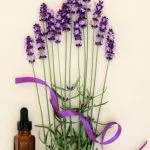 How to Use a Coton Ball for Aromatherapy Step-by-step guide on how to use a cotton ball for aromatherapy at home