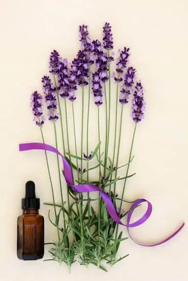 Step-by-step guide on how to use a cotton ball for aromatherapy at home