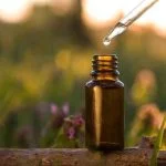 How Aromatherapy Works Tazeka Tazeka's holistic approach to essential oils for overall well-being