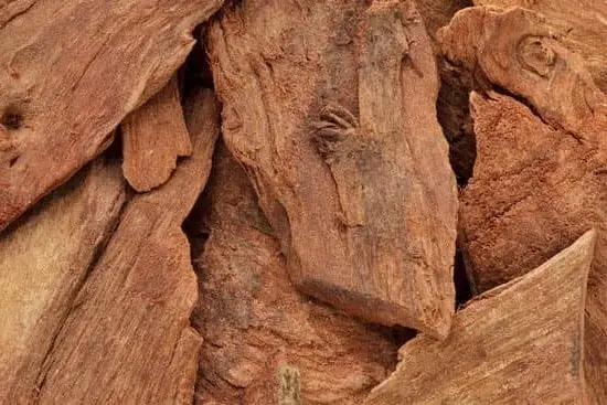 How Effective Is Aromatherapy With Childbirth 1 A calming lavender scented experience for labor and delivery