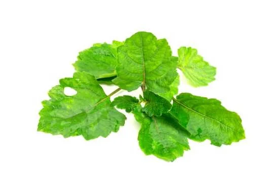 How to use Aura Cacia Aromatherapy Car Diffuser for a calming drive