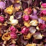 Step-by-step guide on how to fill aromatherapy diffuser for optimal fragrance dispersion