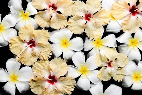 How to Tackle Your Pain Points With Aromatherapy Achs 1 How to use aromatherapy to tackle your pain points and find relief