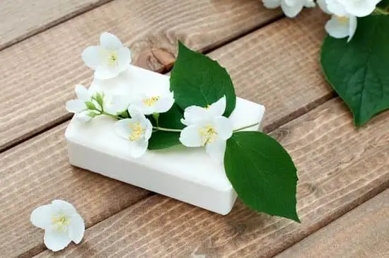 How Aromatherapy Diffusers Work Toxic 3 How aromatherapy diffusers work to spread non-toxic essential oils for health benefits and relaxation