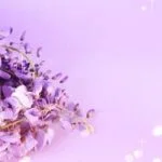 How to Use Aromatherapy Lavender Oil calming massage, diffusing, and bath enhancement