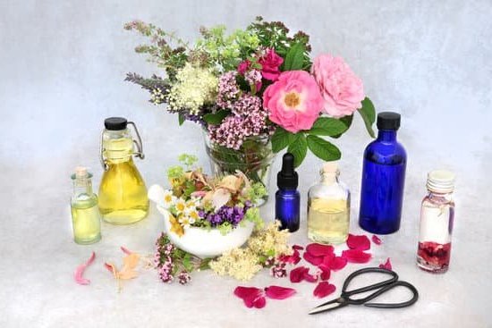 Beech Aromatherapy 5 Calm, earthy scent for relaxation and stress relief. Essential oil for tranquility