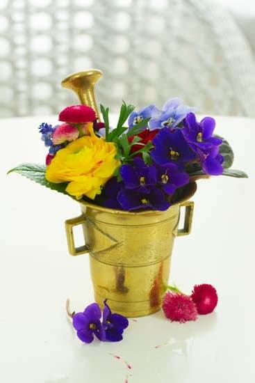 Relaxing lily aromatherapy experience at San Jose, CA spa for holistic wellness