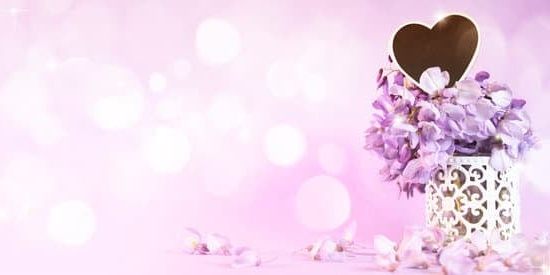 Effects of Aromatherapy on the Integumentary System 1 Understanding the effects on the integumentary system