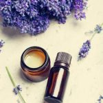 Is Eucalyptus Oil Aromatherapy Safe for Dogs Safe aromatherapy for dogs with eucalyptus oil - consult vet before use