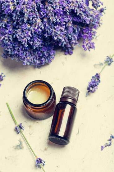 Safe aromatherapy for dogs with eucalyptus oil - consult vet before use
