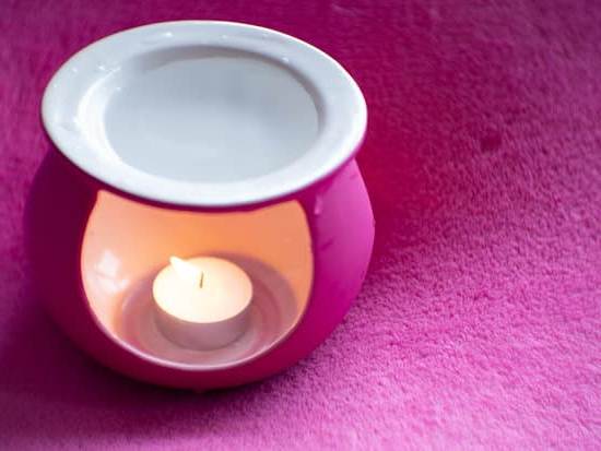 Aromatherapy for animals, precautions to consider
