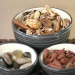 legitimate holistic practice or pseudoscience