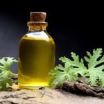 Shop limited edition Aromatherapy products at Bath and Body Works before they're discontinued