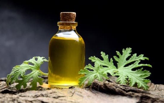 Shop limited edition Aromatherapy products at Bath and Body Works before they're discontinued