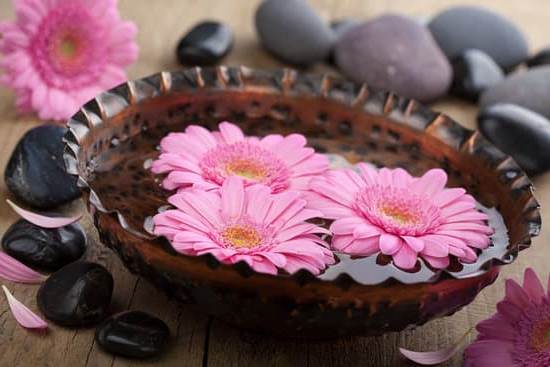 Relaxing Aromatherapy Massage for Dogs, soothing scents and gentle touch for ultimate relaxation