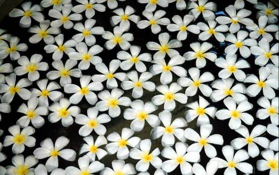 Calm your senses with essential oils in a serene environment