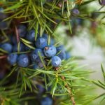 Relaxation and Pain Relief During Childbirth