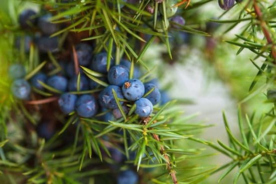 Relaxation and Pain Relief During Childbirth