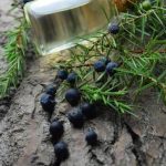 Is Aromatherapy Lotion Black Chamonile Good for Guys Skin-nourishing Black Chamomile Aromatherapy Lotion, ideal for men seeking relaxation and skincare benefits
