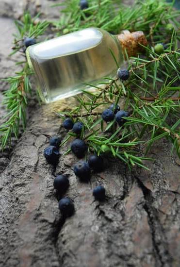 Is Aromatherapy Witchcraft 1 Exploring the connection between aromatherapy and witchcraft practices for holistic healing