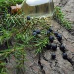 Discover the Groovy Essence of IS FUNK Aromatherapy Products