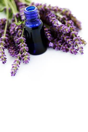 What Can You Do With a Certificate in Aromatherapy 1 Explore career paths in health and wellness with a Certificate in Aromatherapy