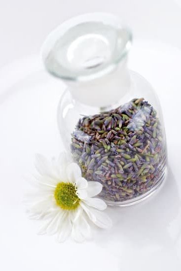 Is Aromatherapy Licensed in Florida 1 Find out about aromatherapy licensing in Florida for official recognition in practice