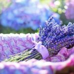 Check policy details to see if aromatherapy is covered by private health insurance