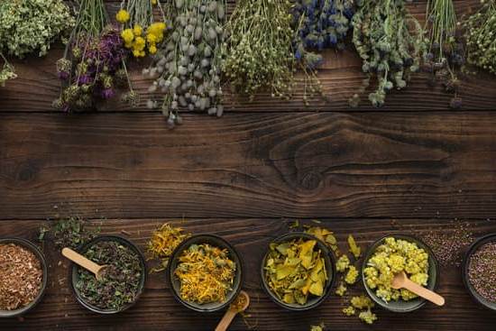 Is Aromatherapy a profitable dropshipping product Find out now