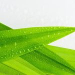 Om She Aromatherapy Tk Maxx Discover calming OM SHE Aromatherapy products at TK Maxx for a tranquil experience