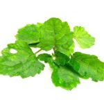 Bath and Body Works Happy Aromatherapy Experience relaxation with Bath and Body Works Happy Aromatherapy products - perfect for self-care routines