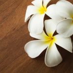 Can You Wash the Felt Pads Aromatherapy Can you wash the felt pads used for aromatherapy