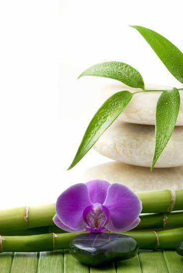 Essential oils and diffusers are great for aromatherapy in a barn setting