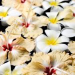 Should I Get a Deep Tissue Massage or Aromatherapy Choosing between a deep tissue massage or aromatherapy Consider your wellness goals and comfort levels first